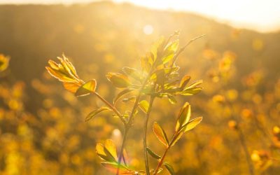 Why Court Isn’t Always a Bad Thing in Divorce: Rachel’s Real Experience