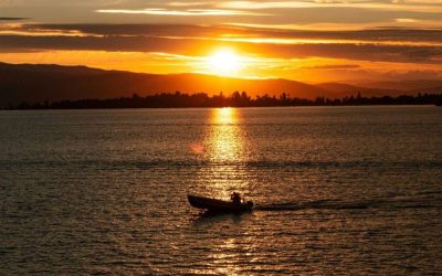 Cohabitation Dispute: How Louisa Helped Russell Secure a Fair Legal Outcome