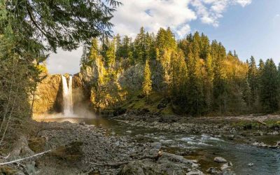 When Divorce Feels Overwhelming: How Louise Found Trusted Legal Support